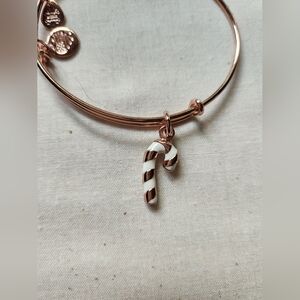 Alex and Ani Candy Cane Bracelet